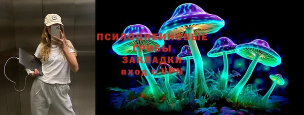 PSILOCYBIN Богданович