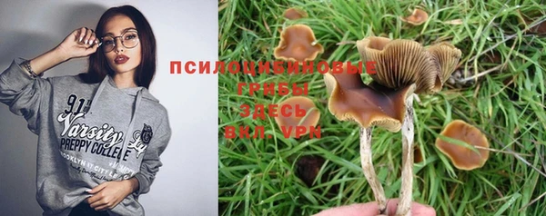 PSILOCYBIN Богданович